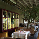 Modern P - 240 Flaschen Weinkühlschrank - Doppelte Temperatur